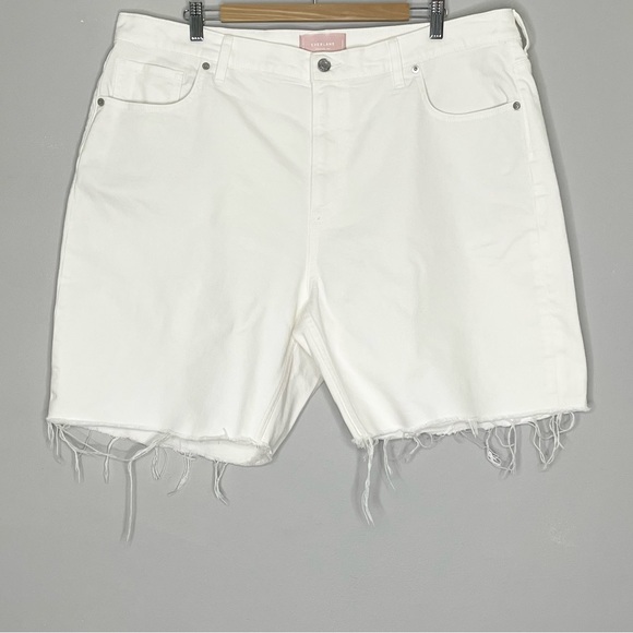 Everlane The Cheeky Jean Cut Off Denim Shorts - Picture 1 of 4